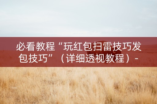 必看教程“玩红包扫雷技巧发包技巧”（详细透视教程）-哔哩哔哩