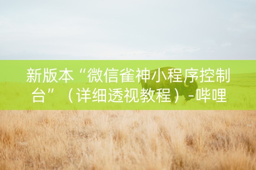 新版本“微信雀神小程序控制台”（详细透视教程）-哔哩哔哩