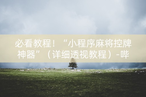 必看教程！“小程序麻将控牌神器”（详细透视教程）-哔哩哔哩