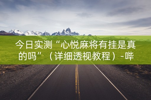 今日实测“心悦麻将有挂是真的吗”（详细透视教程）-哔哩哔哩