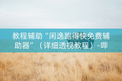 教程辅助“闲逸跑得快免费辅助器”（详细透视教程）-哔哩哔哩