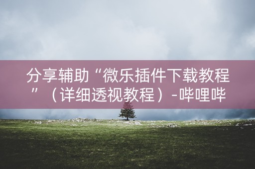 分享辅助“微乐插件下载教程”（详细透视教程）-哔哩哔哩