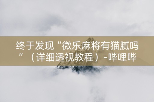 终于发现“微乐麻将有猫腻吗”（详细透视教程）-哔哩哔哩