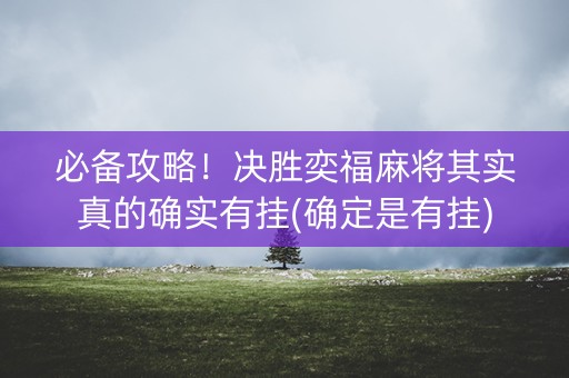 必备攻略！决胜奕福麻将其实真的确实有挂(确定是有挂)