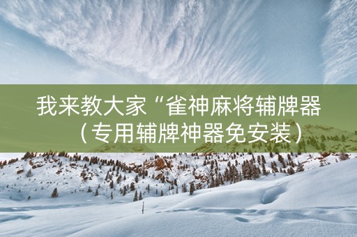 我来教大家“雀神麻将辅牌器（专用辅牌神器免安装）