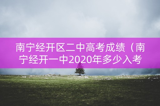 南宁经开区二中高考成绩（南宁经开一中2020年多少入考上二中三中）