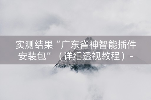 实测结果“广东雀神智能插件安装包”（详细透视教程）-哔哩哔哩
