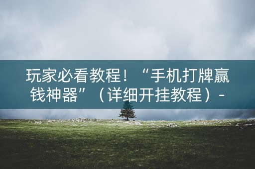 玩家必看教程！“手机打牌赢钱神器”（详细开挂教程）-哔哩哔哩