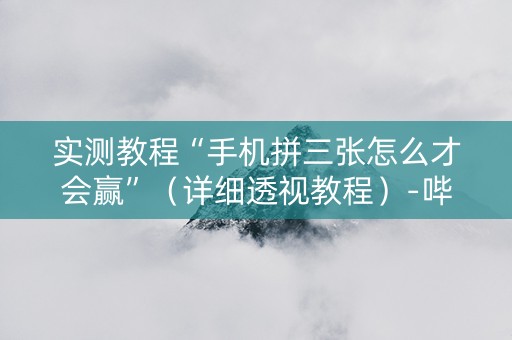 实测教程“手机拼三张怎么才会赢”（详细透视教程）-哔哩哔哩