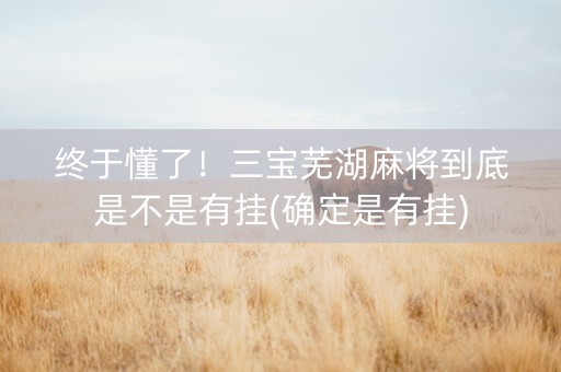 终于懂了！三宝芜湖麻将到底是不是有挂(确定是有挂)
