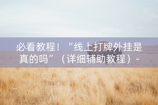 必看教程！“线上打牌外挂是真的吗”（详细辅助教程）-哔哩哔哩