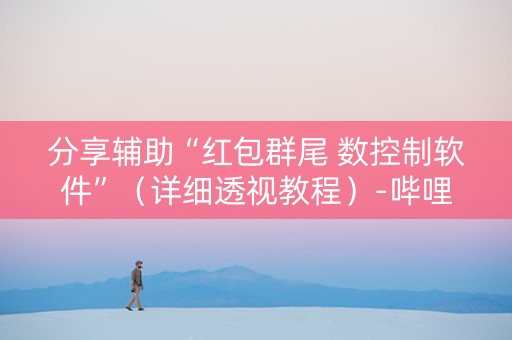 分享辅助“红包群尾 数控制软件”（详细透视教程）-哔哩哔哩