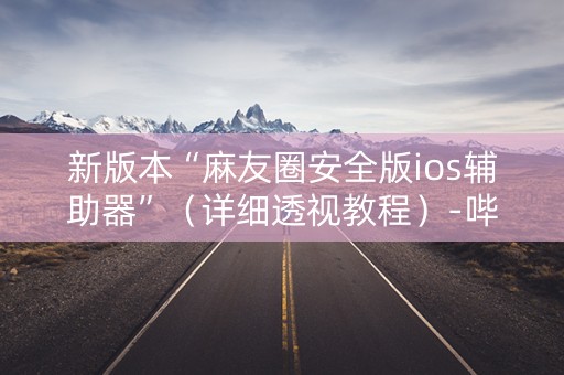 新版本“麻友圈安全版ios辅助器”（详细透视教程）-哔哩哔哩