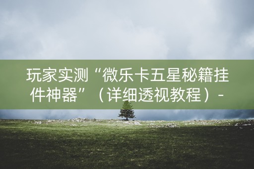 玩家实测“微乐卡五星秘籍挂件神器”（详细透视教程）-哔哩哔哩