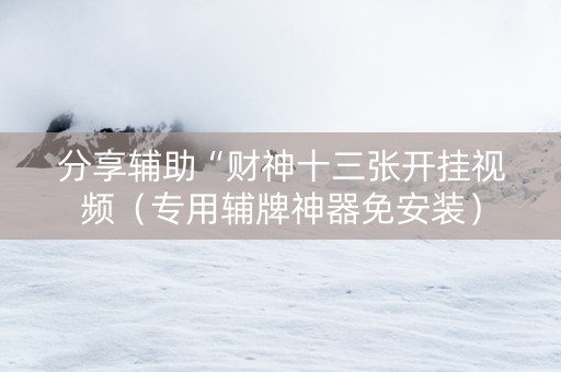 分享辅助“财神十三张开挂视频（专用辅牌神器免安装）