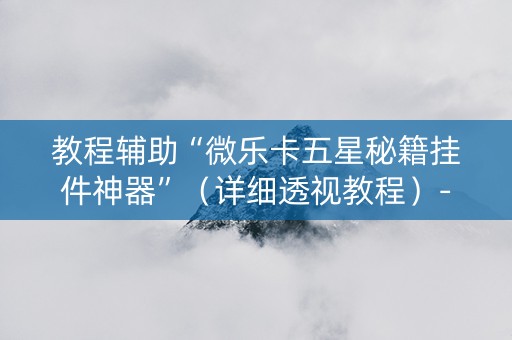 教程辅助“微乐卡五星秘籍挂件神器”（详细透视教程）-哔哩哔哩