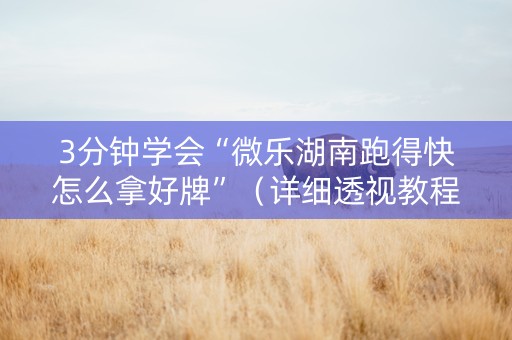 3分钟学会“微乐湖南跑得快怎么拿好牌”（详细透视教程）-哔哩哔哩