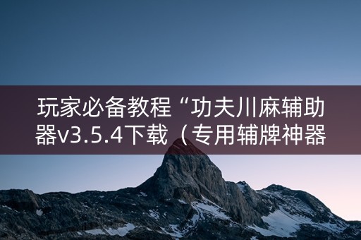 玩家必备教程“功夫川麻辅助器v3.5.4下载（专用辅牌神器免安装）