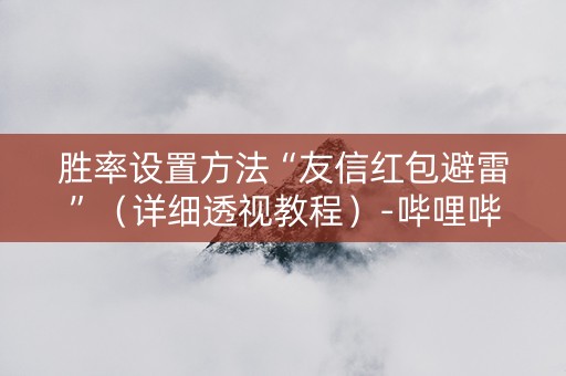 胜率设置方法“友信红包避雷”（详细透视教程）-哔哩哔哩