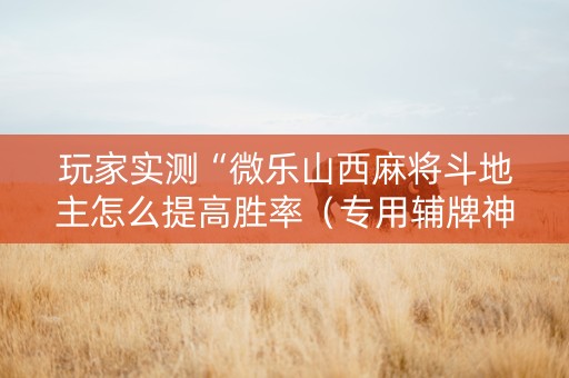玩家实测“微乐山西麻将斗地主怎么提高胜率（专用辅牌神器免安装）