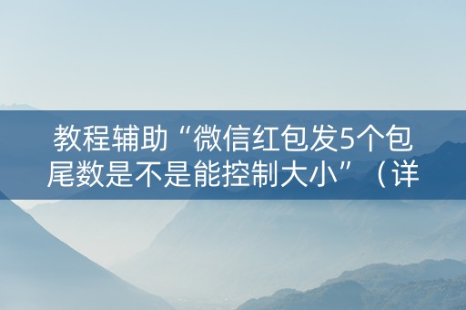 教程辅助“微信红包发5个包尾数是不是能控制大小”（详细透视教程）-哔哩哔哩