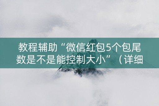 教程辅助“微信红包5个包尾数是不是能控制大小”（详细透视教程）-哔哩哔哩