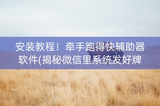 安装教程！牵手跑得快辅助器软件(揭秘微信里系统发好牌)