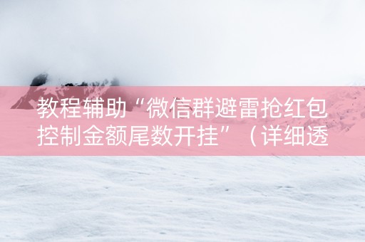 教程辅助“微信群避雷抢红包控制金额尾数开挂”（详细透视教程）-哔哩哔哩