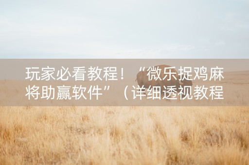 玩家必看教程！“微乐捉鸡麻将助赢软件”（详细透视教程）-哔哩哔哩