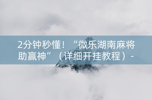 2分钟秒懂！“微乐湖南麻将助赢神”（详细开挂教程）-哔哩哔哩