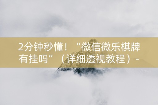 2分钟秒懂！“微信微乐棋牌有挂吗”（详细透视教程）-哔哩哔哩