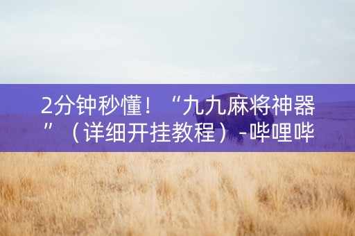 2分钟秒懂！“九九麻将神器”（详细开挂教程）-哔哩哔哩