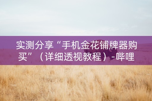实测分享“手机金花铺牌器购买”（详细透视教程）-哔哩哔哩