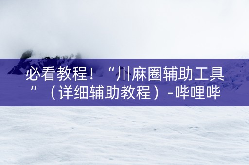 必看教程！“川麻圈辅助工具”（详细辅助教程）-哔哩哔哩