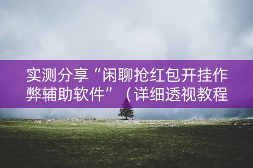 实测分享“闲聊抢红包开挂作弊辅助软件”（详细透视教程）-哔哩哔哩