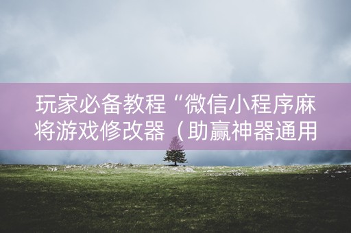 玩家必备教程“微信小程序麻将游戏修改器（助赢神器通用版）
