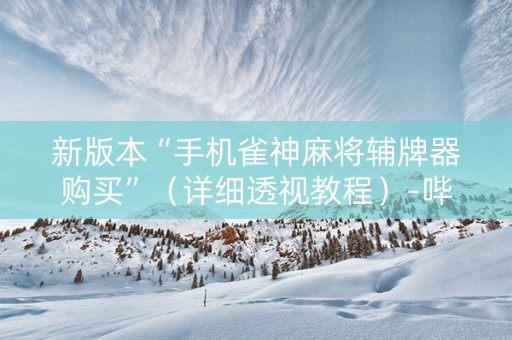 新版本“手机雀神麻将辅牌器购买”（详细透视教程）-哔哩哔哩