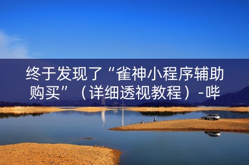 终于发现了“雀神小程序辅助购买”（详细透视教程）-哔哩哔哩