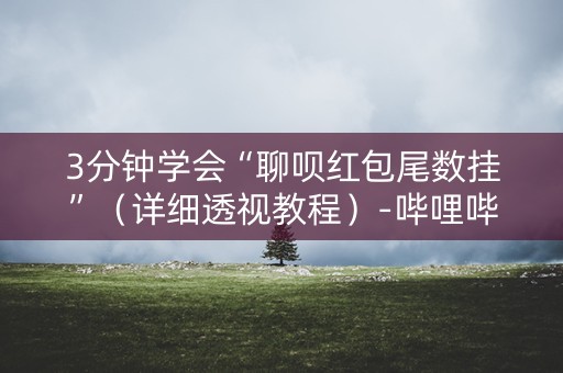 3分钟学会“聊呗红包尾数挂”（详细透视教程）-哔哩哔哩