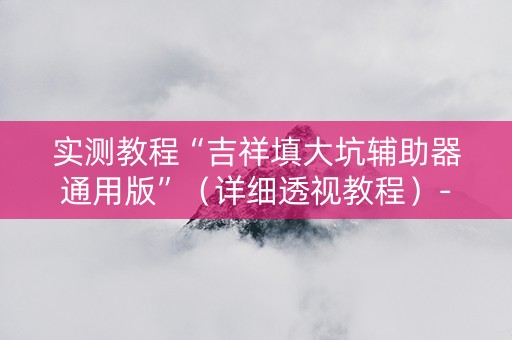 实测教程“吉祥填大坑辅助器通用版”（详细透视教程）-哔哩哔哩