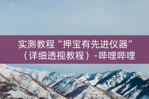 实测教程“押宝有先进仪器”（详细透视教程）-哔哩哔哩
