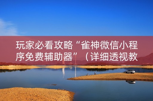 玩家必看攻略“雀神微信小程序免费辅助器”（详细透视教程）-哔哩哔哩
