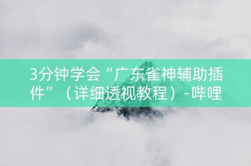 3分钟学会“广东雀神辅助插件”（详细透视教程）-哔哩哔哩