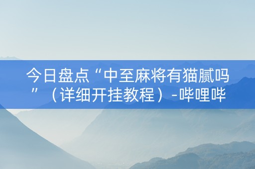 今日盘点“中至麻将有猫腻吗”（详细开挂教程）-哔哩哔哩