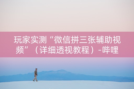 玩家实测“微信拼三张辅助视频”（详细透视教程）-哔哩哔哩