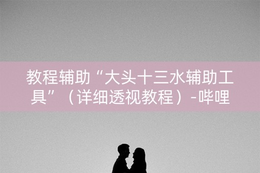 教程辅助“大头十三水辅助工具”（详细透视教程）-哔哩哔哩