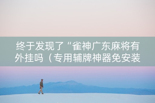 终于发现了“雀神广东麻将有外挂吗（专用辅牌神器免安装）