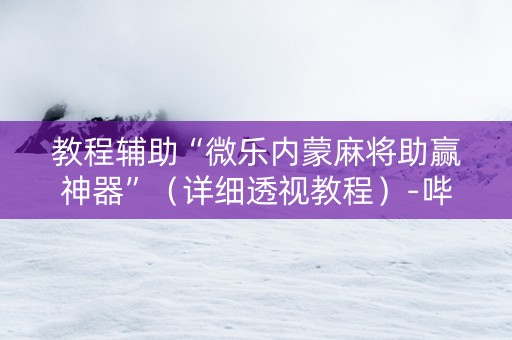 教程辅助“微乐内蒙麻将助赢神器”（详细透视教程）-哔哩哔哩