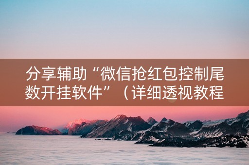 分享辅助“微信抢红包控制尾数开挂软件”（详细透视教程）-哔哩哔哩
