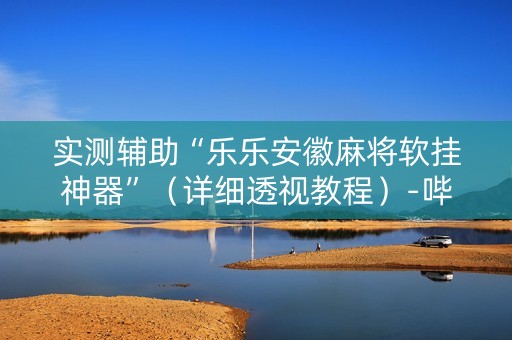 实测辅助“乐乐安徽麻将软挂神器”（详细透视教程）-哔哩哔哩